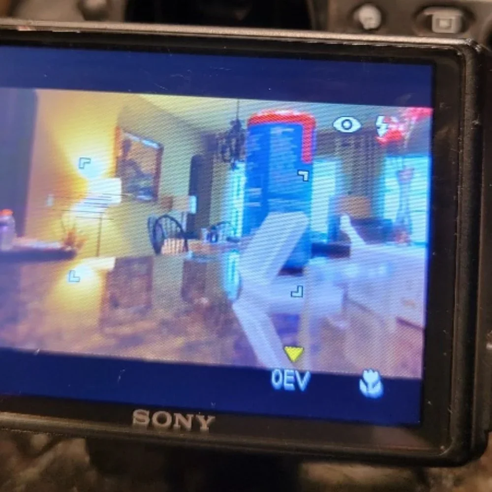 Sony Cyber-shot DSCH50 9.1 MP Digital Camera with Optical Zoom Super steady Shot